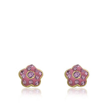Pink Crystal Enamel Earring
